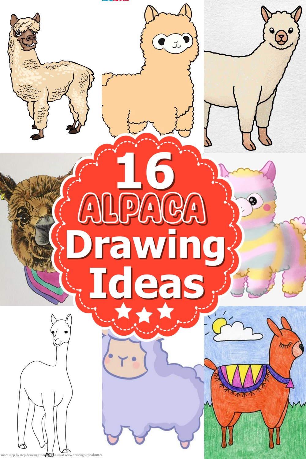 Alpaca Drawing Ideas