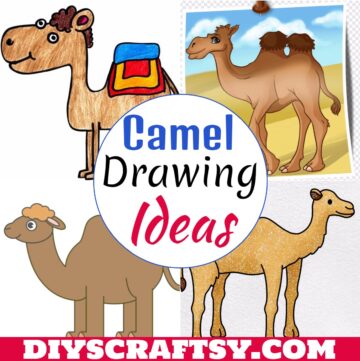 Camel Drawing Ideas 1