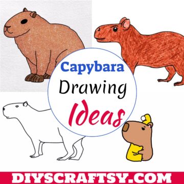 Capybara Drawing Ideas 1