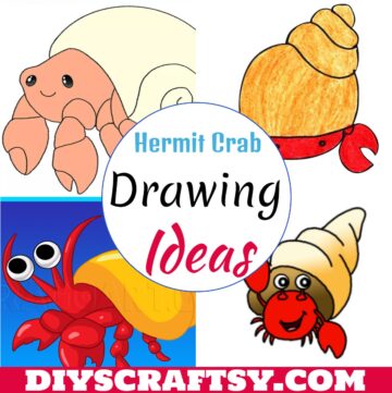 Hermit Crab Drawings 1