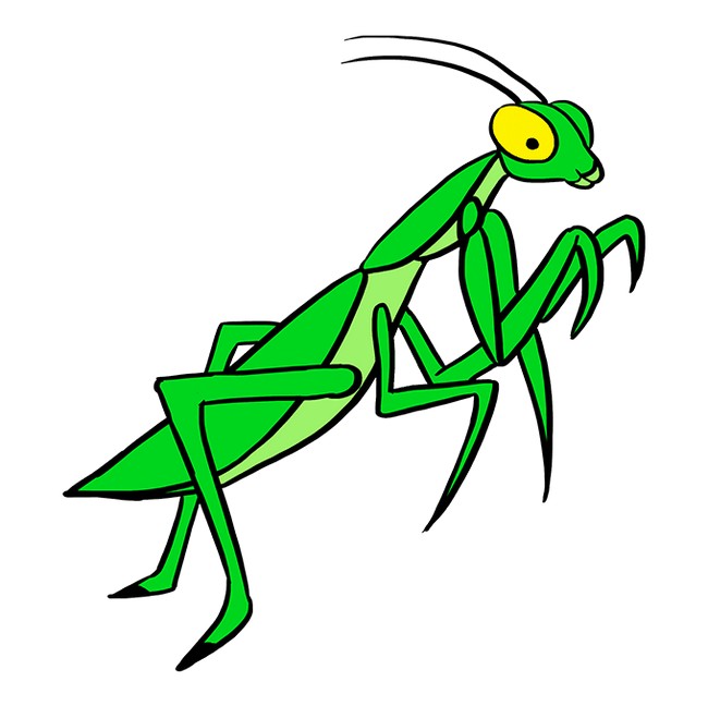 How To Draw A Easy Praying Mantis