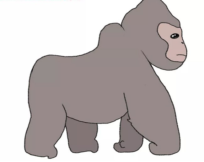 How To Draw A Gorilla 1