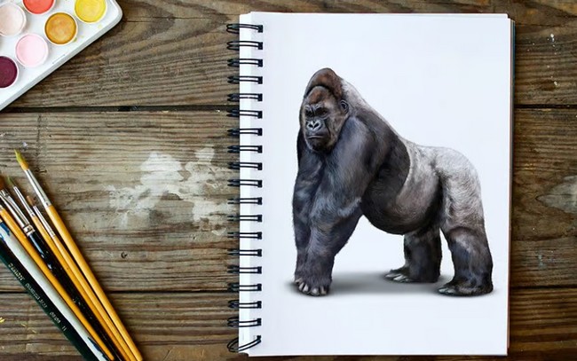 How To Draw A Gorilla A Simple Gorilla Drawing