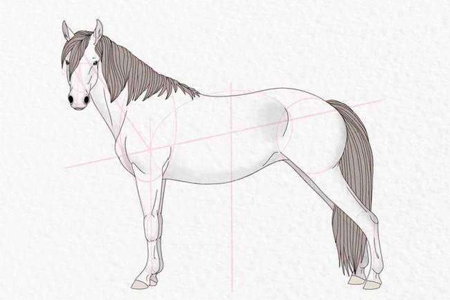 How To Draw A Horse Easy