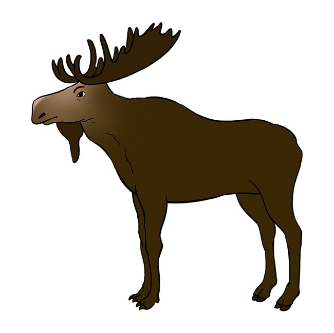 How To Draw A Moose Easy