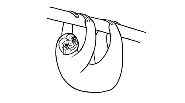 How To Draw A Sloth Step By Step