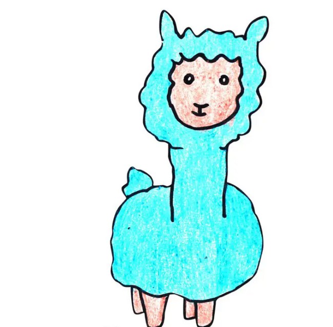 How To Draw An Alpaca For Kids
