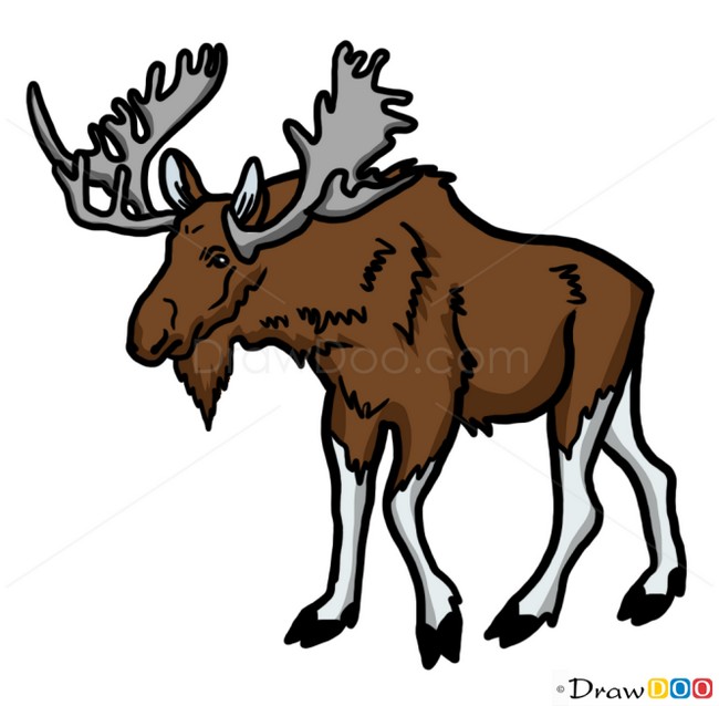 How To Draw Moose Wild Animals