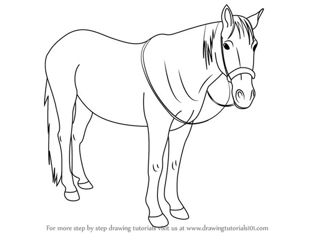 How To Draw Standing Horse