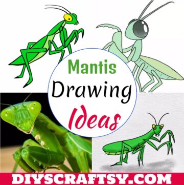 Mantis Drawing Ideas 1