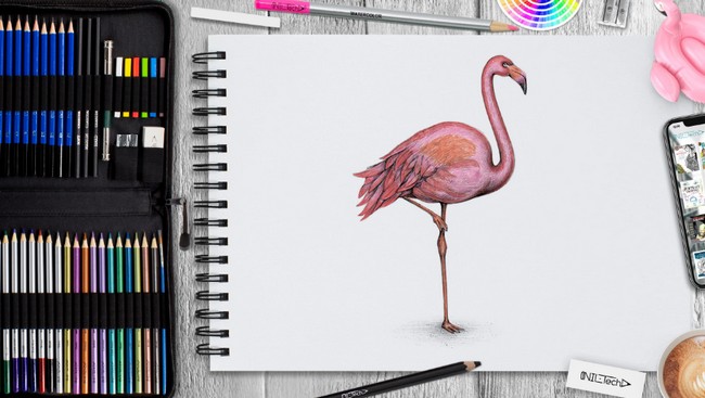 Pink Flamingo Drawing