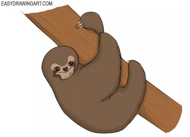 Sid The Sloth Drawing