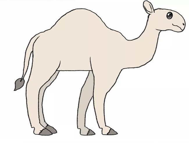 Simple Camel Drawing 1