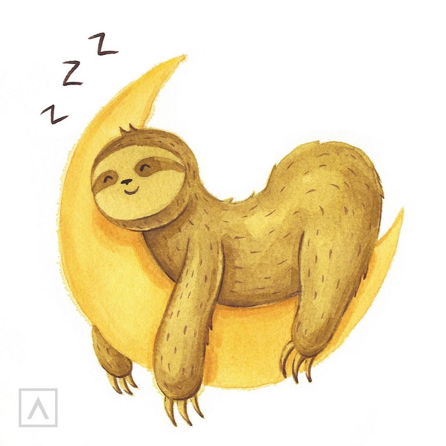 Sloth Drawing Realistic