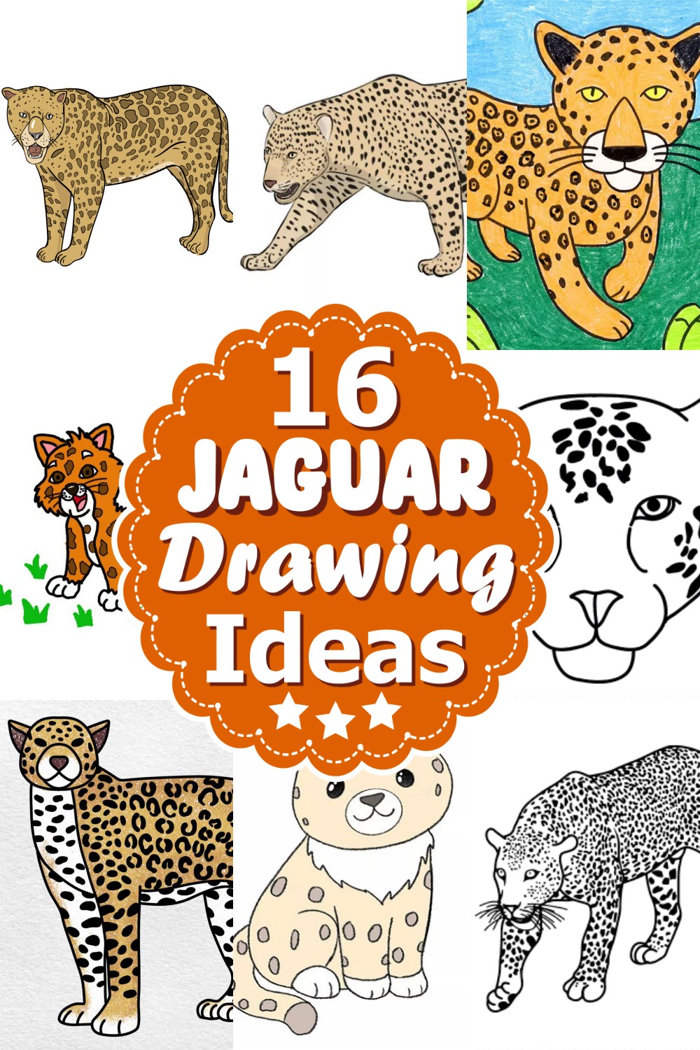 Jaguar Drawing Ideas