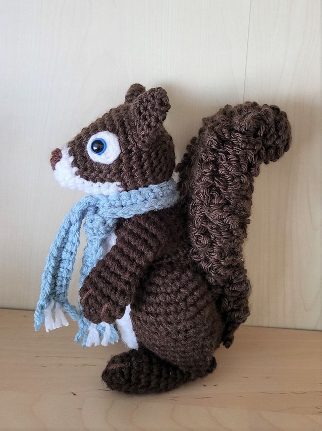Bushy Tailed Squirrel
