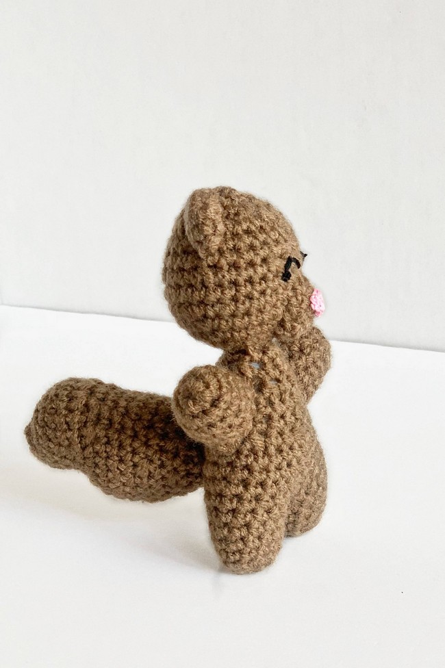Donnie The Squirrel