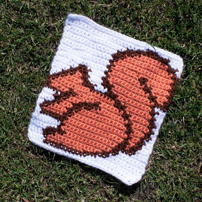 Squirrel Square