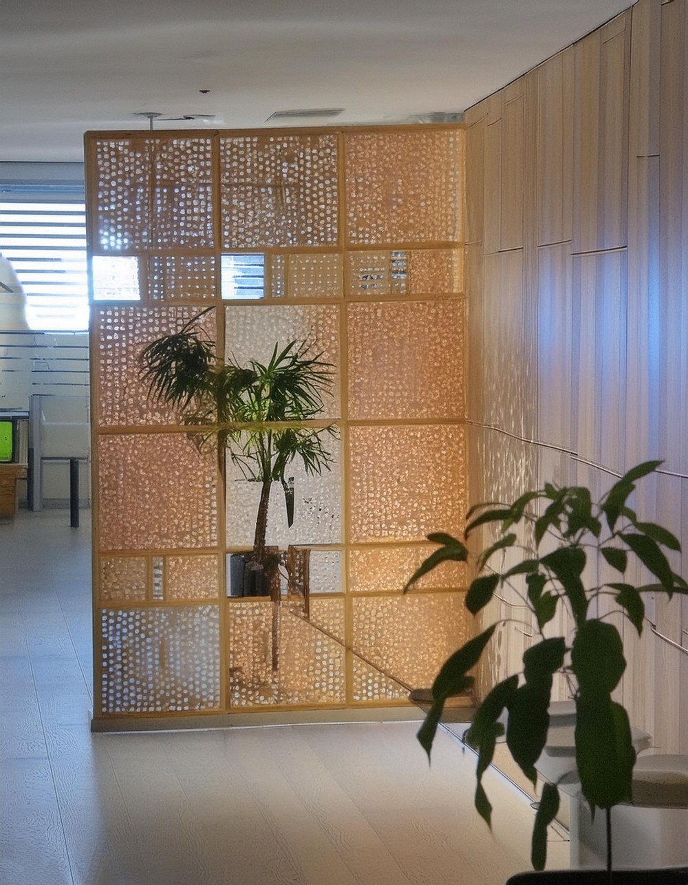 Room Divider Screen With A Laser