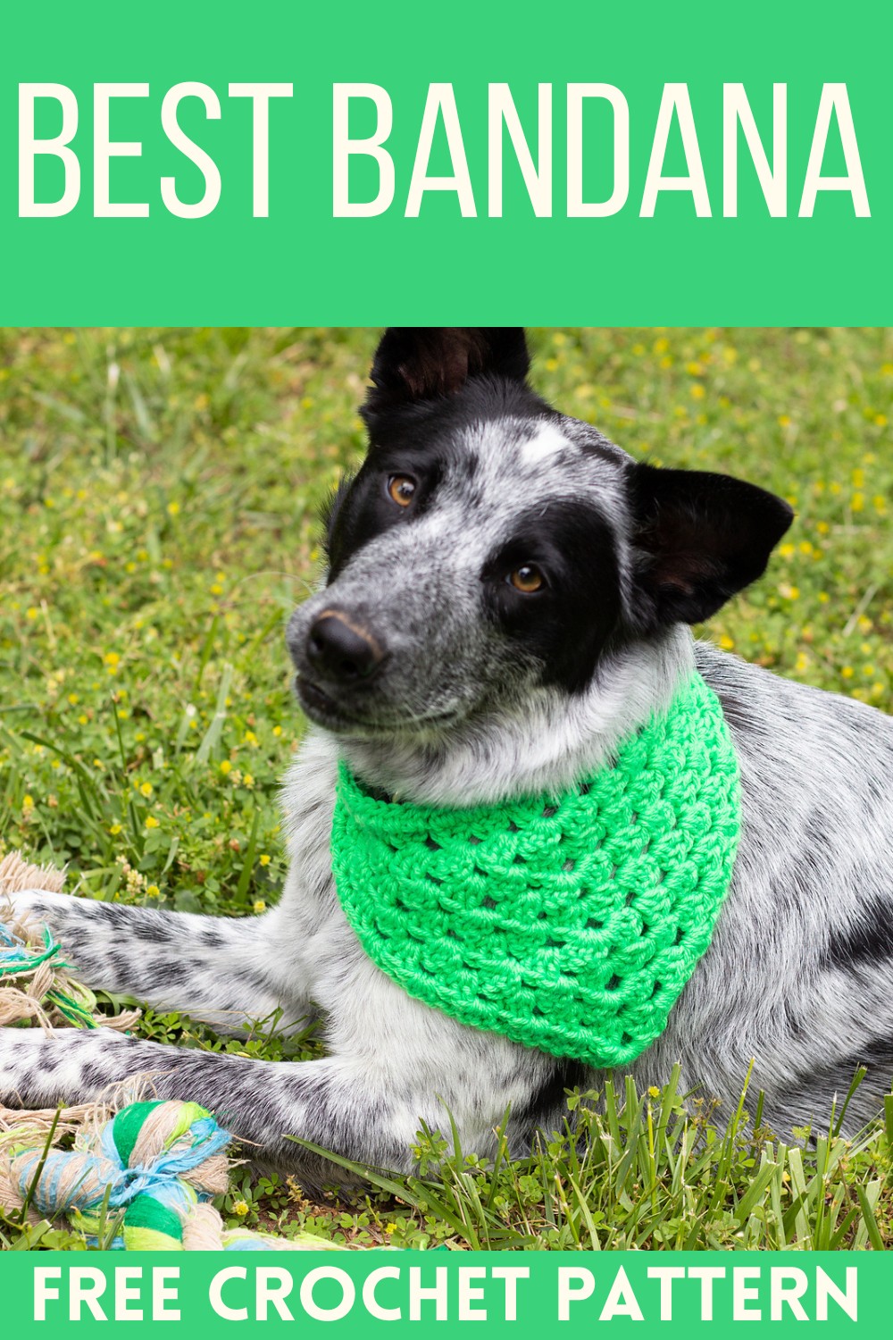 Best Bandana