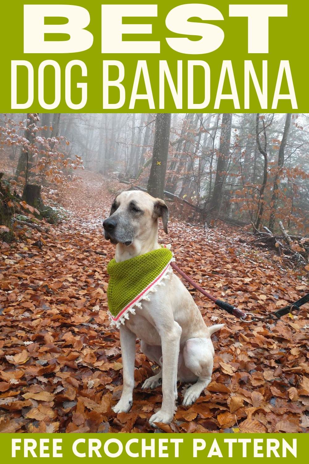 Dog Bandana