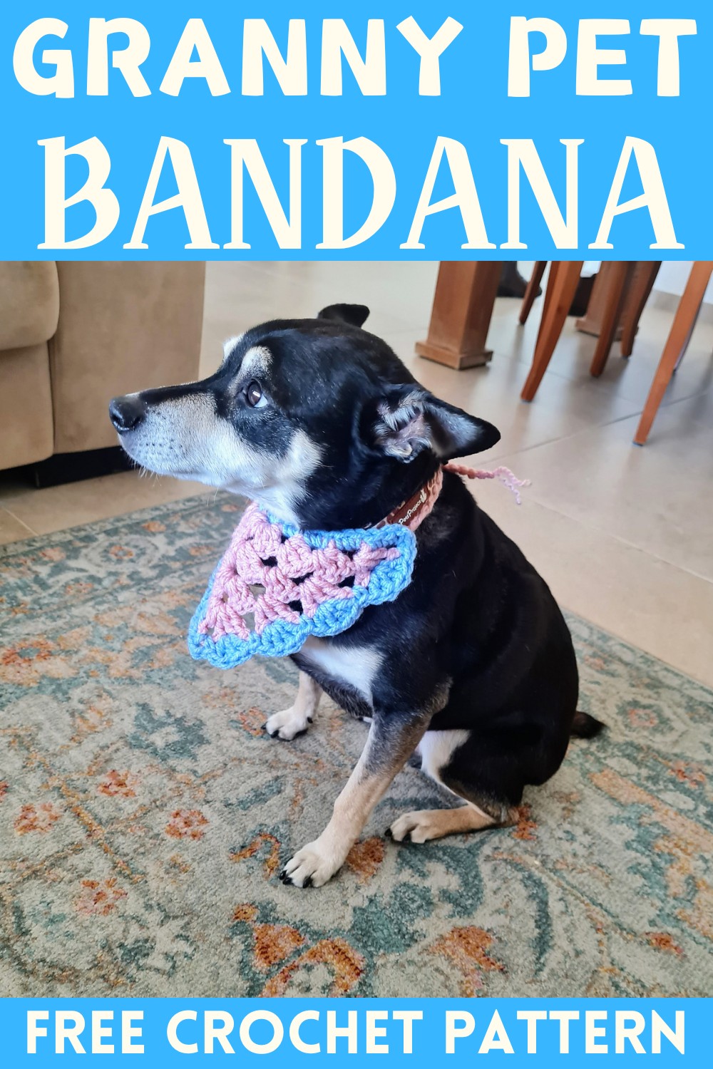 Granny Pet Bandana