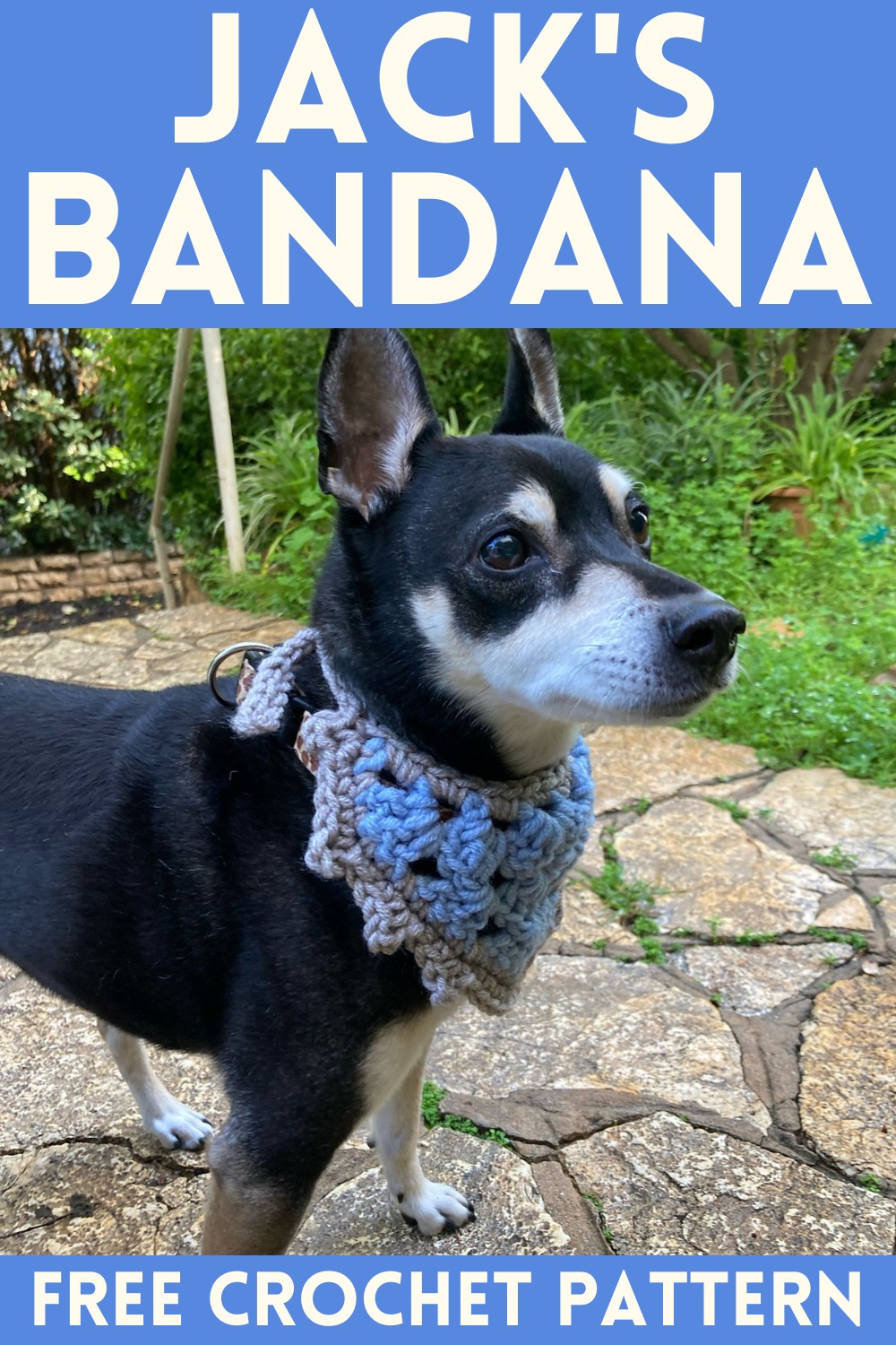 Jack's Bandana