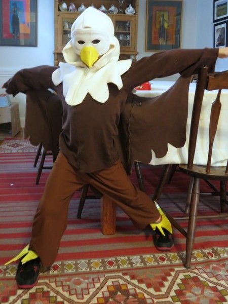 Bald Eagle Costume