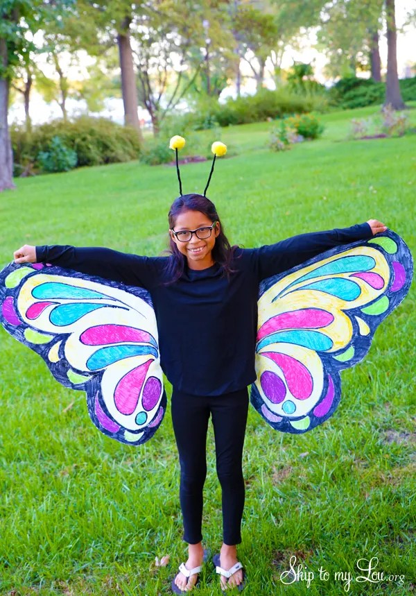 Beautiful Butterfly Costume