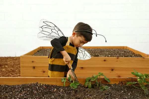 Bee Costume