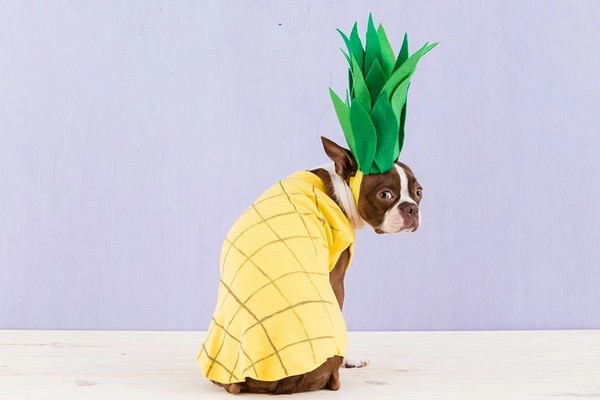 DIY Pineapple Costume
