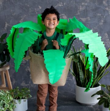 DIY Plant costume