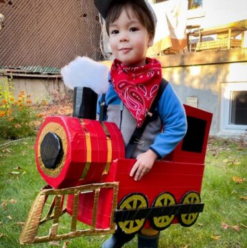 DIY Train Costume