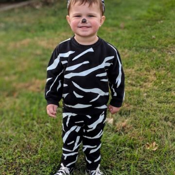 DIY Zebra Costume