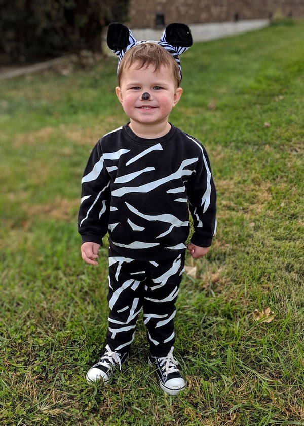DIY Zebra Costume