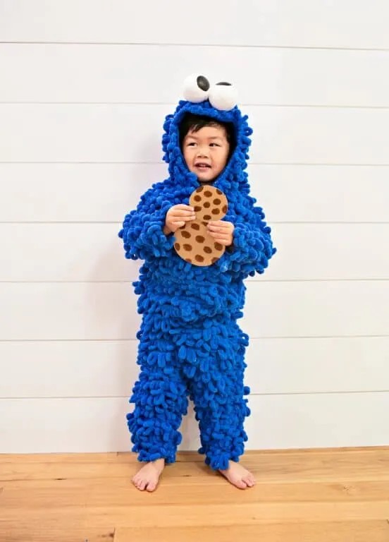 Diy Cookie Monster Costume