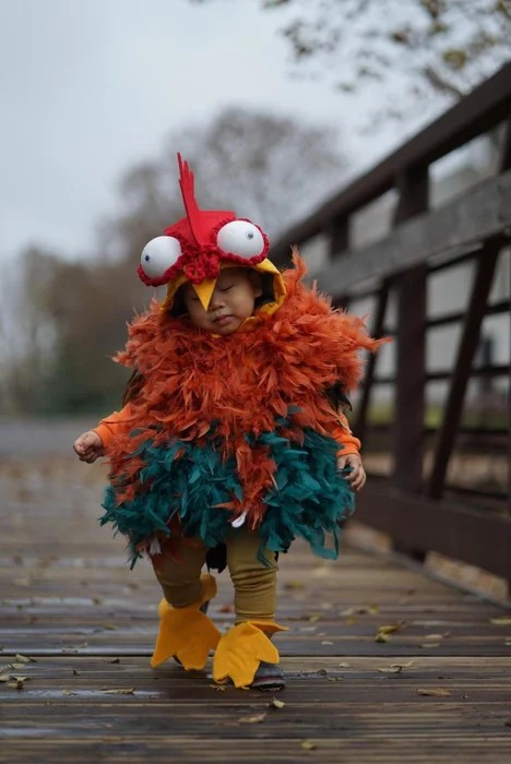 How to Make a Rooster Costume