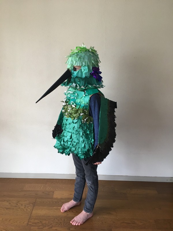 Hummingbird DIY Costume 
