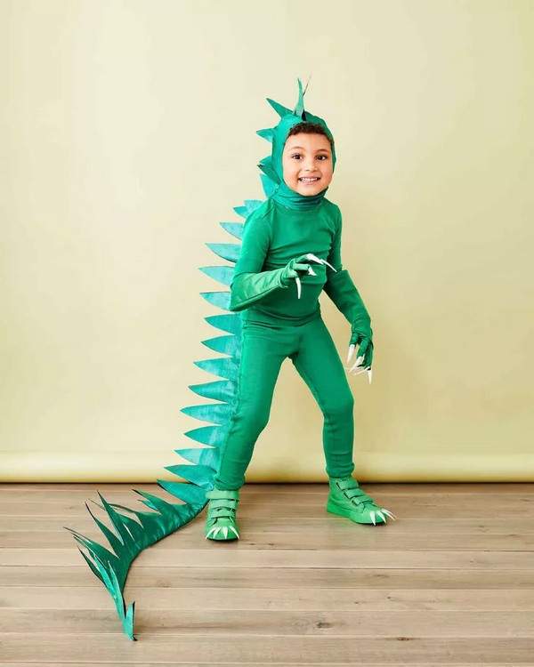 Kid's Dinosaur Costume