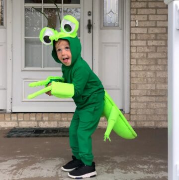 Praying Mantis Costume