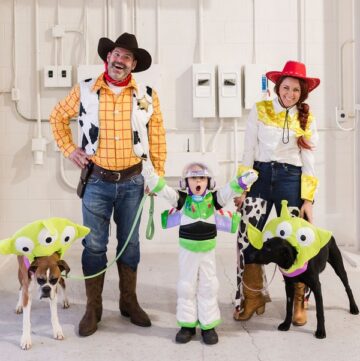 Toy Story Halloween Costumes