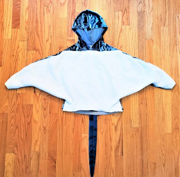 diy ray costume