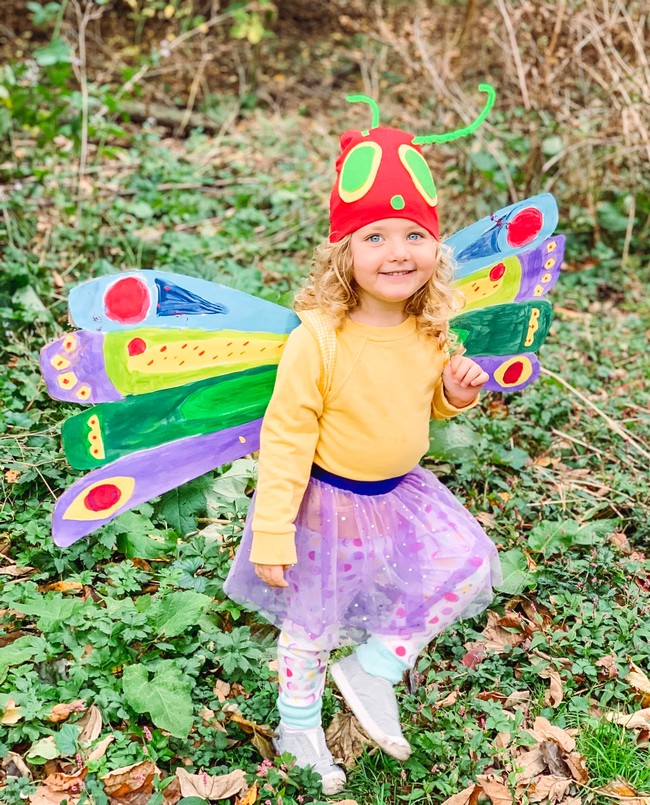 Butterfly Costume