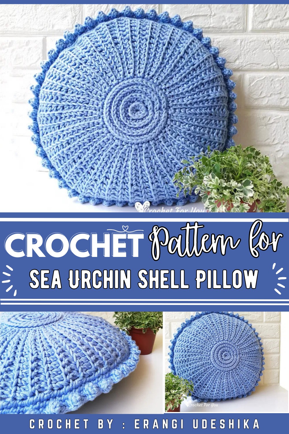 Sea Urchin Shell Pillow