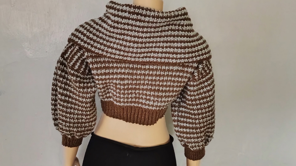 How to Crochet Crop Sweater 1