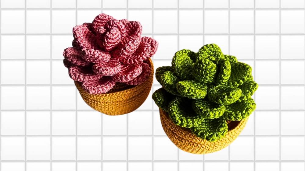 Tiny Crochet Amigurumi Succulent Pattern 1