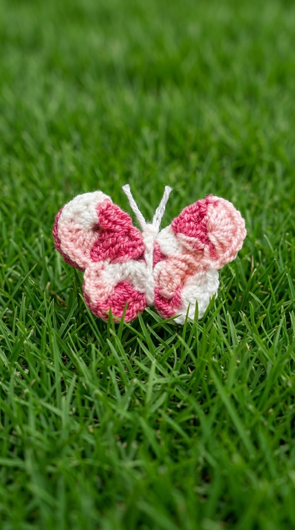 Crochet Butterfly Pattern 5