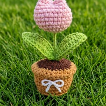 Crochet Mini Tulip Pot Pattern