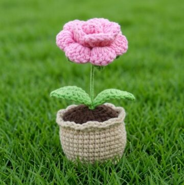 Crochet Beautiful Rose Pot Pattern