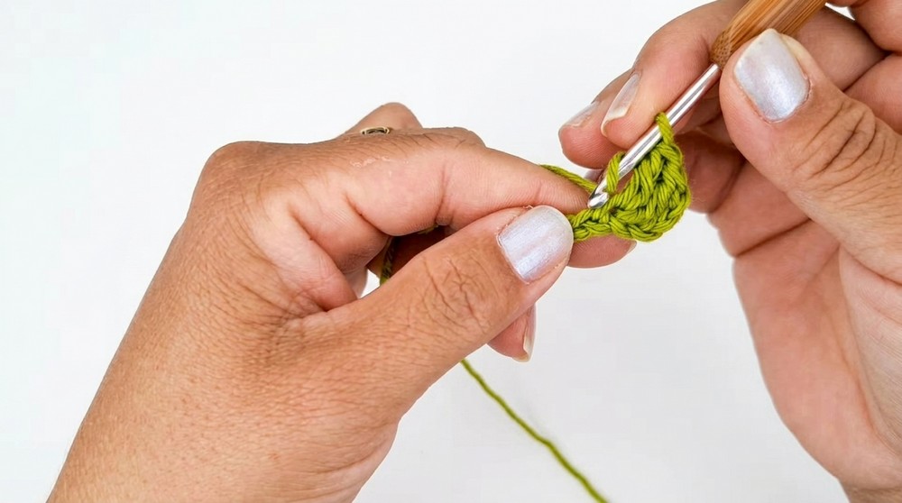 Crochet Frog Amigurumi Pattern 1